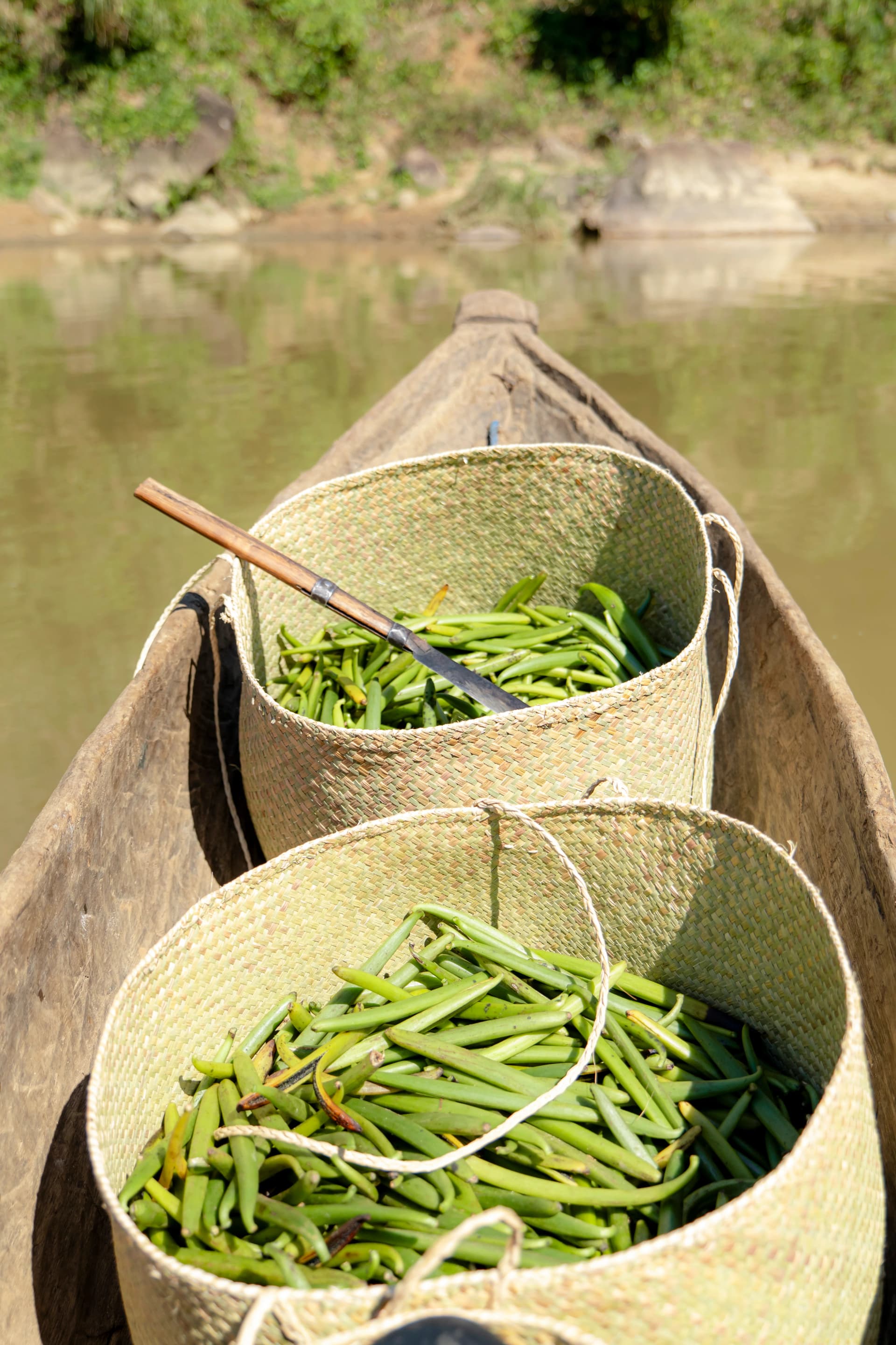The Traditional Harvest