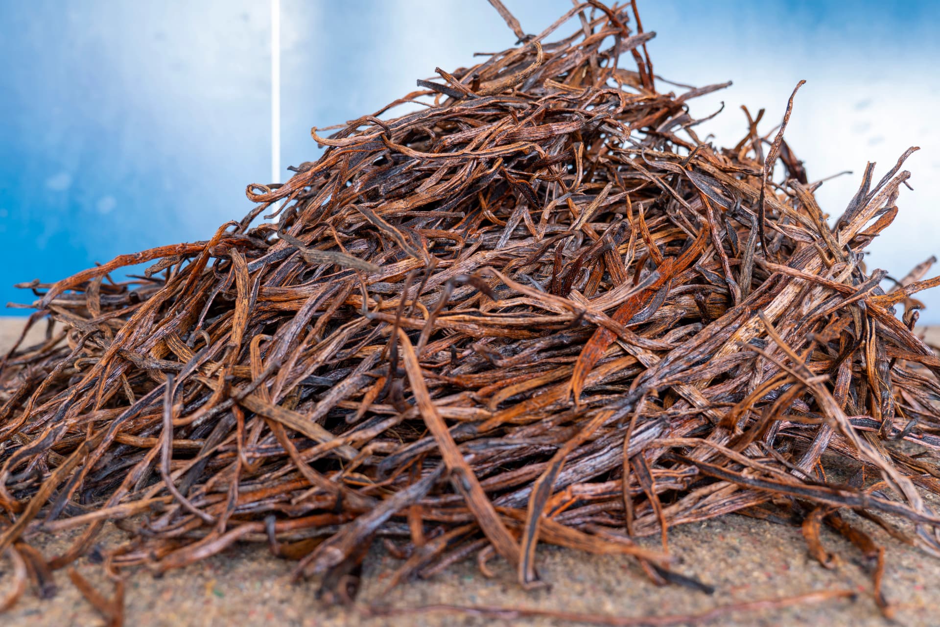 Cuts / Bulk Vanilla 3