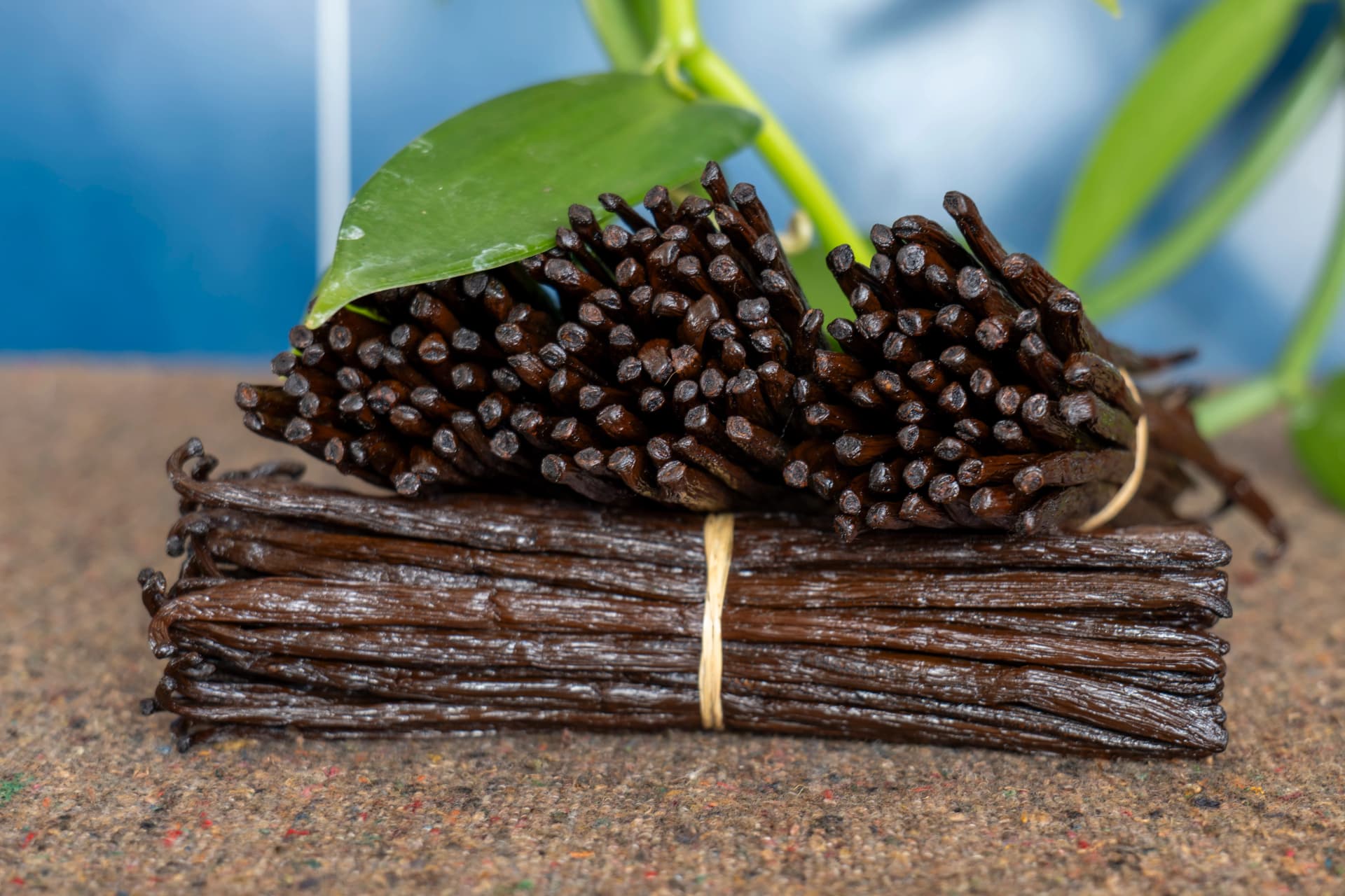 Gourmet Black Vanilla 4