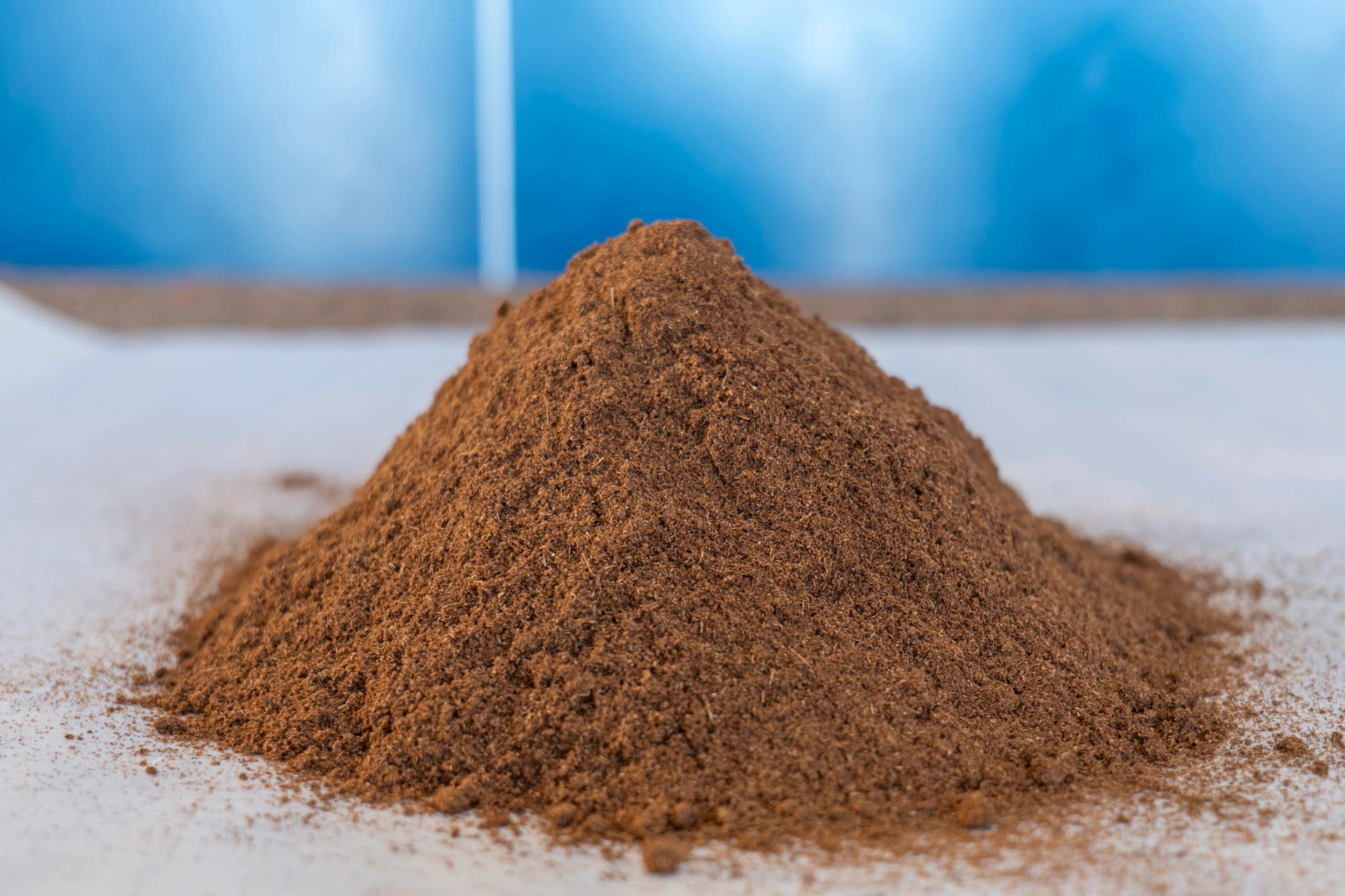 Standard Vanilla Powder