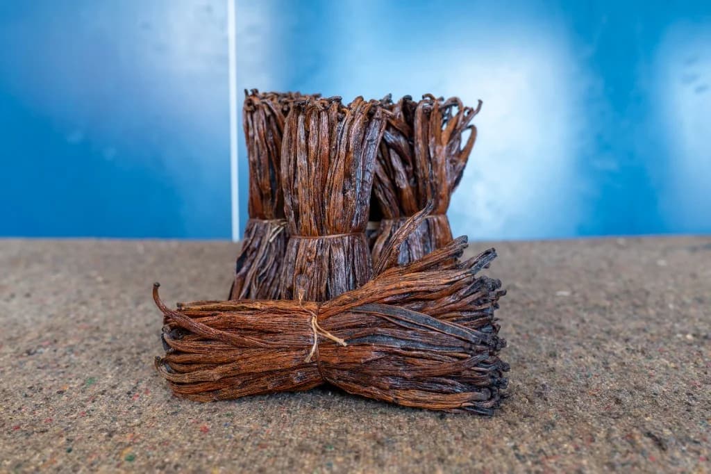 Red Vanilla, USA Type 4