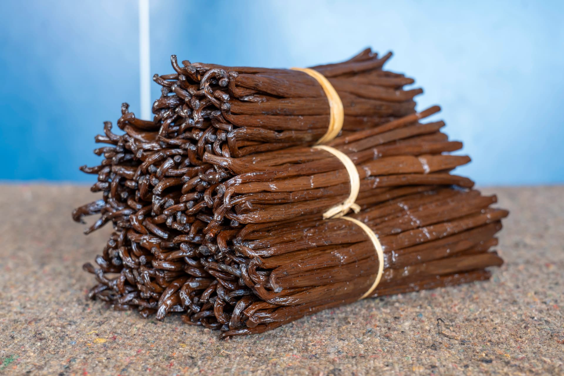 Gourmet Black Vanilla